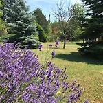 Διαμέρισμα Balaton Garden