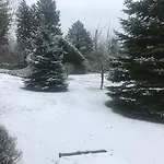 Апартаменты Balaton Garden *