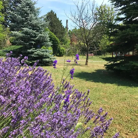דירה Balaton Garden