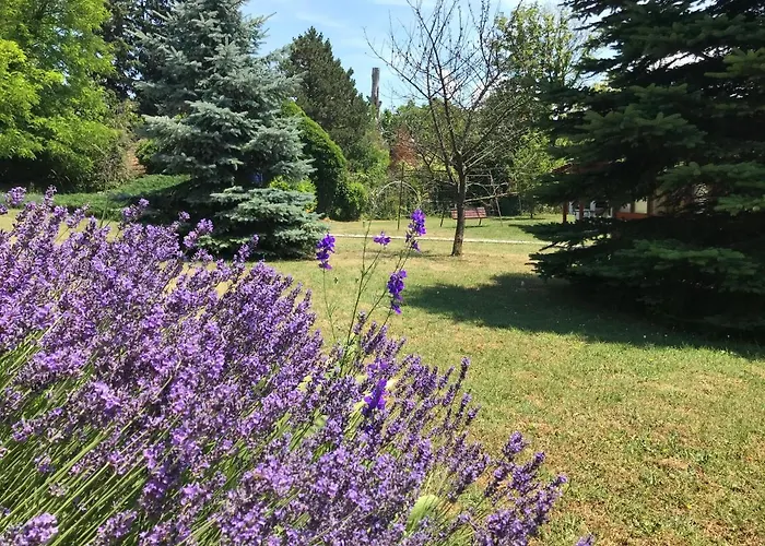 Διαμέρισμα Balaton Garden